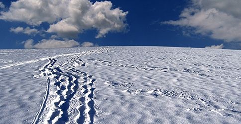 Schnee Spuren Pixabay Schnee Spuren Pixabay