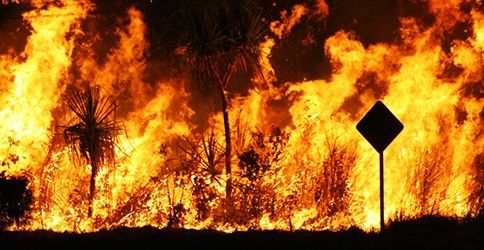 Waldbrand Waldbrand