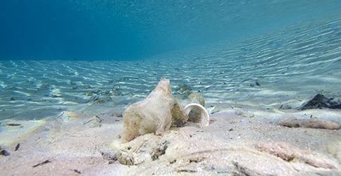 Müll im Meer Müll im Meer