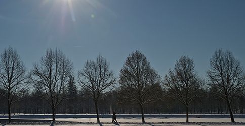 Schnee, Sonne, dapd, Oberschleissheim Schnee, Sonne, dapd, Oberschleissheim