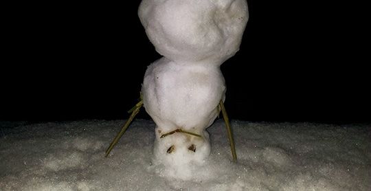 Schneemann (T.Lüdtke) Schneemann (T.Lüdtke)