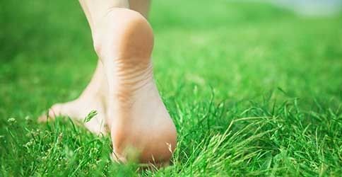 Nackte Füße auf Gras Nackte Füße auf Gras